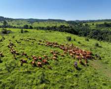 Pcia. de Misiones - Bernardo de Irigoyen 2109 Has