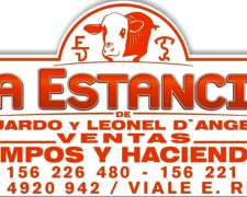 64 Has Mixtas En Tabossi Entre Rios