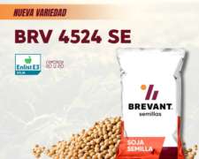Nueva Variedad - Soja Brevant BRV 4524 SE