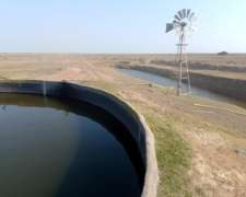 Venta Campo a Tranquera Cerrada (con 900 Vientres Bradford)