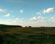 785 Has - Carlos Casares - Mixto