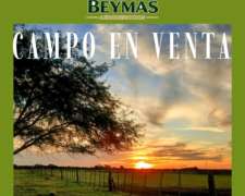 Vendo Campo en Alicia Cba.