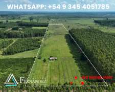 Campo en Venta, Zona Citricola/forestal Cerca de Zona Urbana