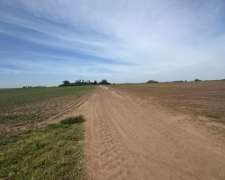 Campo Agrícola 183 Hectáreas