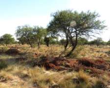 Alquiler Ganadero en Anchorena- 11400 HA- San Luis