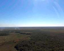 Selvas del Rio de ORO - 1432 Ha - Chaco