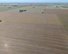 30 HA. Suelo Clase 1 - IP 90%. Departamento Constitucion.