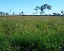 Busco Compro Silvo Pastoriles en Chaco