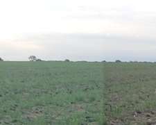 Vendo 500 Has Agrícolas en Zona Liborio Luna, San Luis
