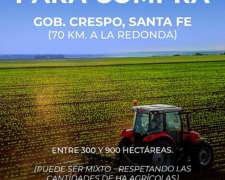 Buscamos Campo Agrícola en Gobernador Crespo, Santa FE.