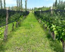 Finca de 12 Hectáreas en Jocolí