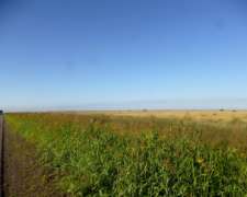 8.443 Has. en Venta - Logroño, 9 de Julio - Santa FE.