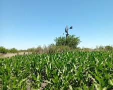 Campo Agrícola-ganadero en Marcos PAZ