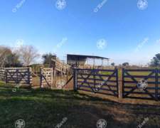 Campo Mixto Brandsen 650 Has