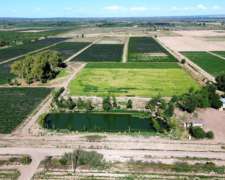 Finca 32ha Urgarteche Luján De Cuyo