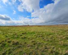 Campos Venta Lamadrid Dde 600 Ha