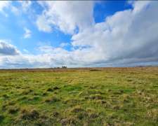 Campo Mixto Venta Chascomus 110 Hectareas