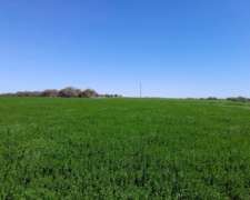 Entre Rios Campo Mixto 13500 Hect