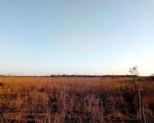 U98 HA. Venta o Alquiler - Prov. del Chaco.