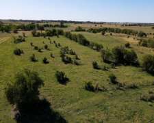 Campo En Venta De 137 Has En Ranchos. Agricola