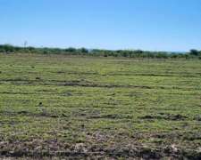 Campo en San Luis 27 Hectáreas - Concarán