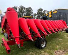 Maicero Ombu cm 2008 - año 2016