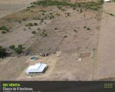 Chacra de 8 Hectáreas, Casa Nueva. Larroque - Gualeguaychú.