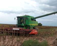 Girasolero Maizco 12 a 70 año 2000 Embocadura JD