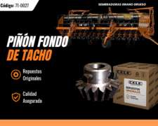 Piñon Fondo De Tacho