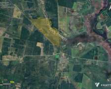 525 Hectáreas Ganaderas, Tartagal, Santa FE