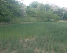 230 Ha Mixto Entre Ríos Gualeguaychú