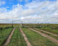 Campo Agricola Ganadero 600 Ha las Flores