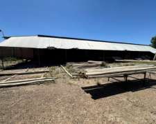 Vende Galpón Con Amplio Terreno - Ruta Nacional 40