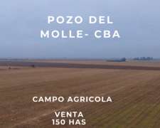 Se Vende Campo Agricola - Pozo del Molle