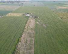 590 Ha - San Genaro (santa FE) - Ganadero