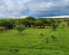 37.5 HA. Cantera. Dto. Colón, Entre Ríos