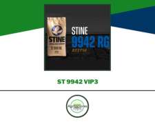 Semilla De Maiz Stine 9942 Vip3