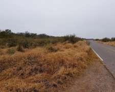 Nueva Esperanza, Pellegrini, Santiago del Estero - 700 Ha