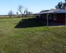 Venta Campo Ganadero Sobre Ruta - Aurelia