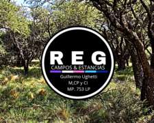 6000 Has en Conhelo, L.p.