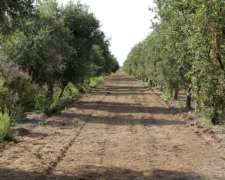 Dos Campos Sobre Ruta. Uso Mixto. Catamarca