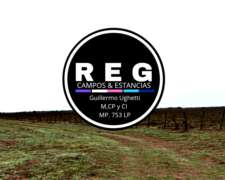 190 Has - Embajador Martini, L.p.