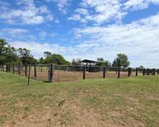 Vendo 500 Ha Mixtas Villa Mercedes