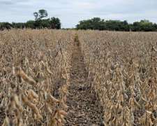 2000 Has. Agrícolas en Pozo Hondo.