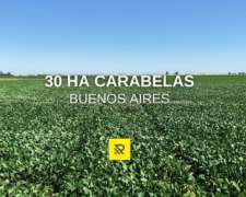 30 Ha Carabelas Agricolas