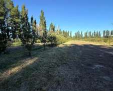 Finca en Venta de 9 Hectáreas / San Rafael - Mendoza
