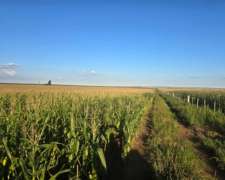 Vendo 1100 Ha la Punilla