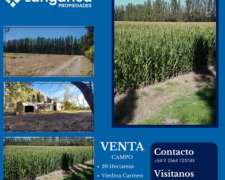 Campo 383 Hectáreas Conlara Merlo San Luis