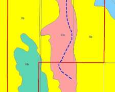 Campo de 175 Hectáreas.