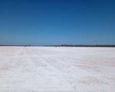 Campo en Argentina para Explotación de Sales Blancas y Rosas